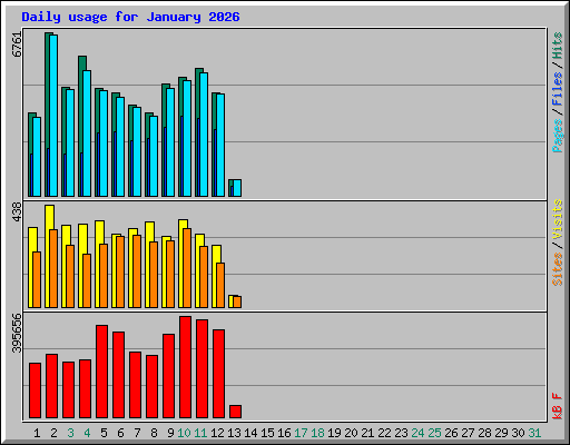 Daily usage for January 2026