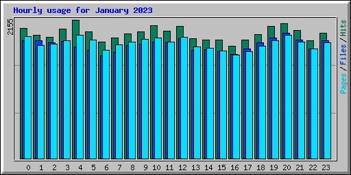 Hourly usage for January 2023