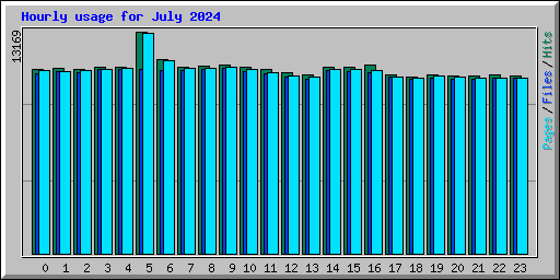 Hourly usage for July 2024
