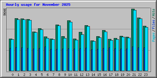 Hourly usage for November 2025
