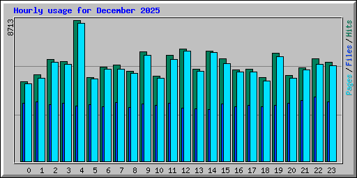 Hourly usage for December 2025
